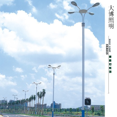 LED路燈高光效異形道路亮化照明工程市電交叉口四火廠家批發(fā)